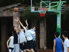 多米体育官方网站-篮球明星事迹